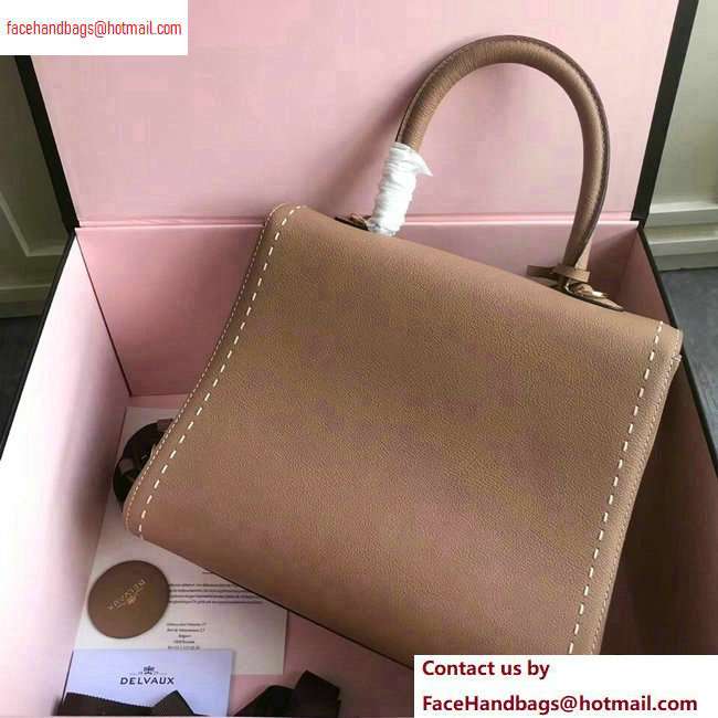 Delvaux Brillant Medium Tote Bag In Togo Leather Camel