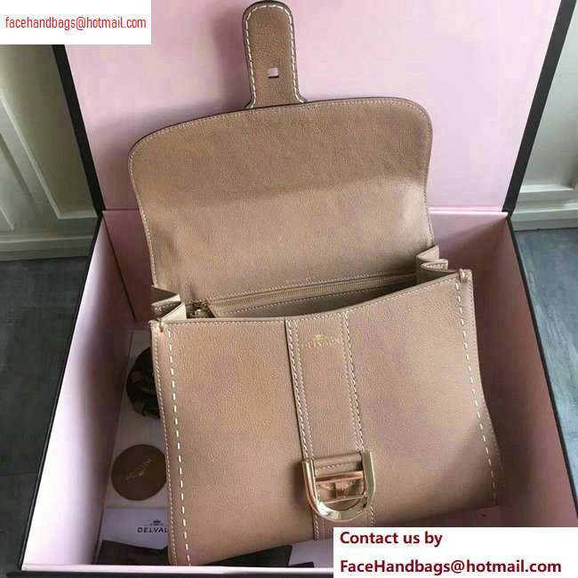 Delvaux Brillant Medium Tote Bag In Togo Leather Camel