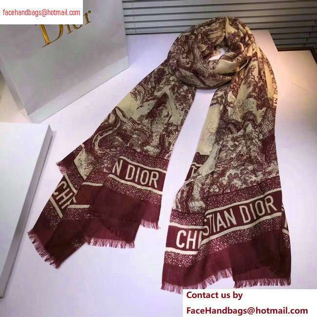 Dior Scarf 100x200cm 03 2020