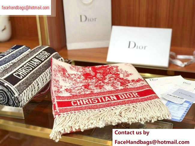 Dior Scarf 140x140cm 05 2020