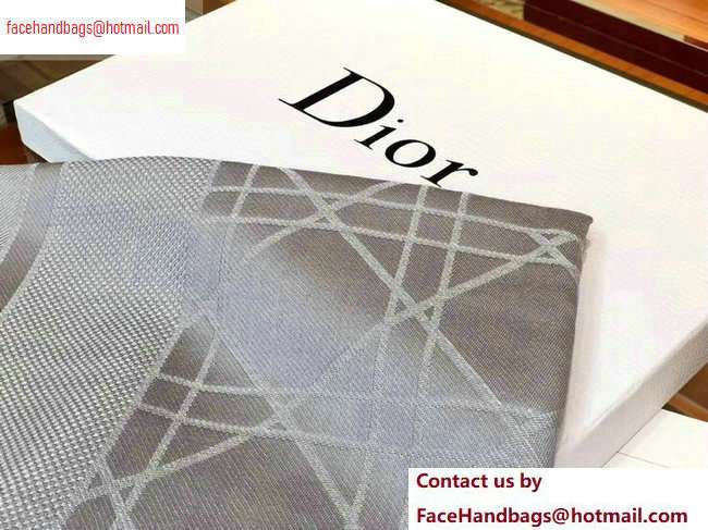 Dior Scarf 140x140cm 08 2020