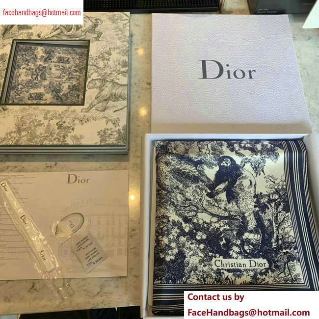 Dior Silk Scarf 90x90cm 02 2020