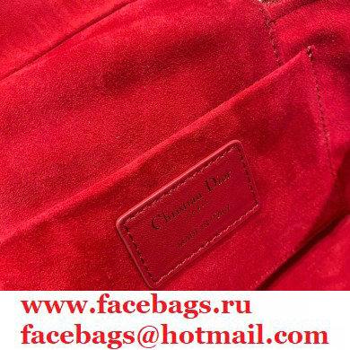 Dior Small Diortravel Vanity Case Bag in Cannage Lambskin Red 2021