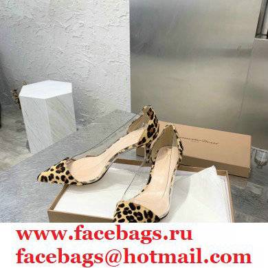 Gianvito Rossi Heel 7cm Plexi Pumps Leopard Print