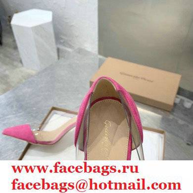 Gianvito Rossi Heel 7cm Plexi Pumps Suede Fuchsia