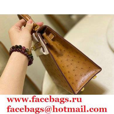 HERMES OSTRICH LEATHER KELLY 25 BAG tan