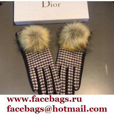 Dior Gloves D06 2021