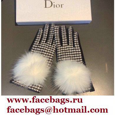 Dior Gloves D07 2021