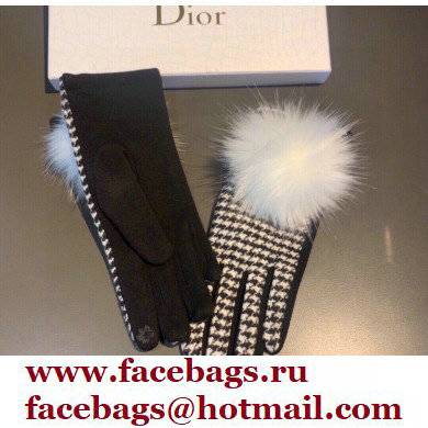 Dior Gloves D07 2021