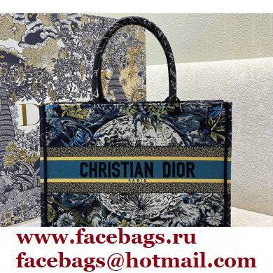 Dior Small Book Tote Bag in Constellation Embroidery Blue 2021