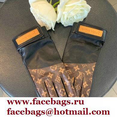 Louis Vuitton Gloves LV10 2021