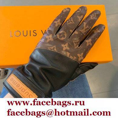 Louis Vuitton Gloves LV10 2021