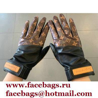 Louis Vuitton Gloves LV10 2021