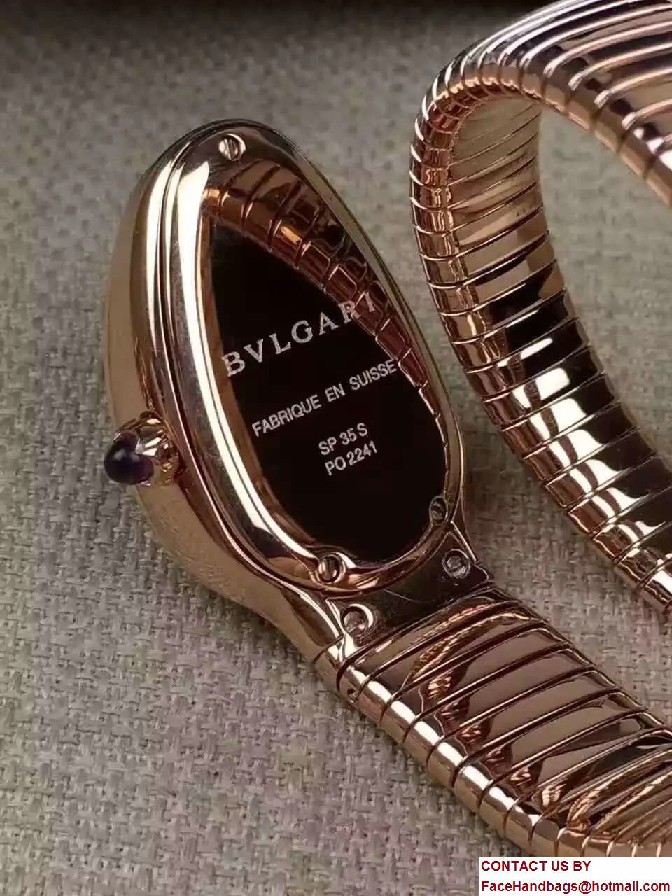 Bvlgari Serpenti 22mm Tubogas Watch 01