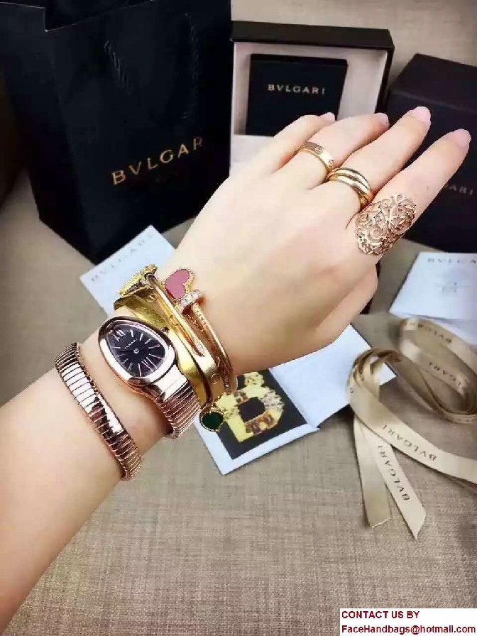 Bvlgari Serpenti 22mm Tubogas Watch 02