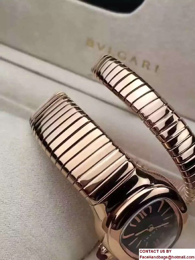 Bvlgari Serpenti 22mm Tubogas Watch 02