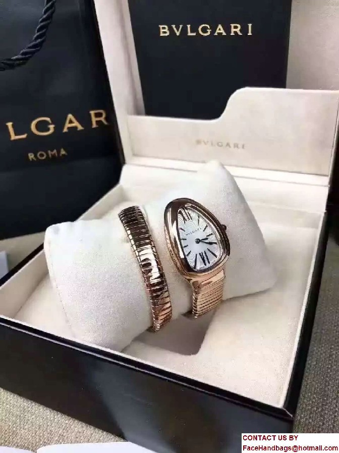 Bvlgari Serpenti 22mm Tubogas Watch 04