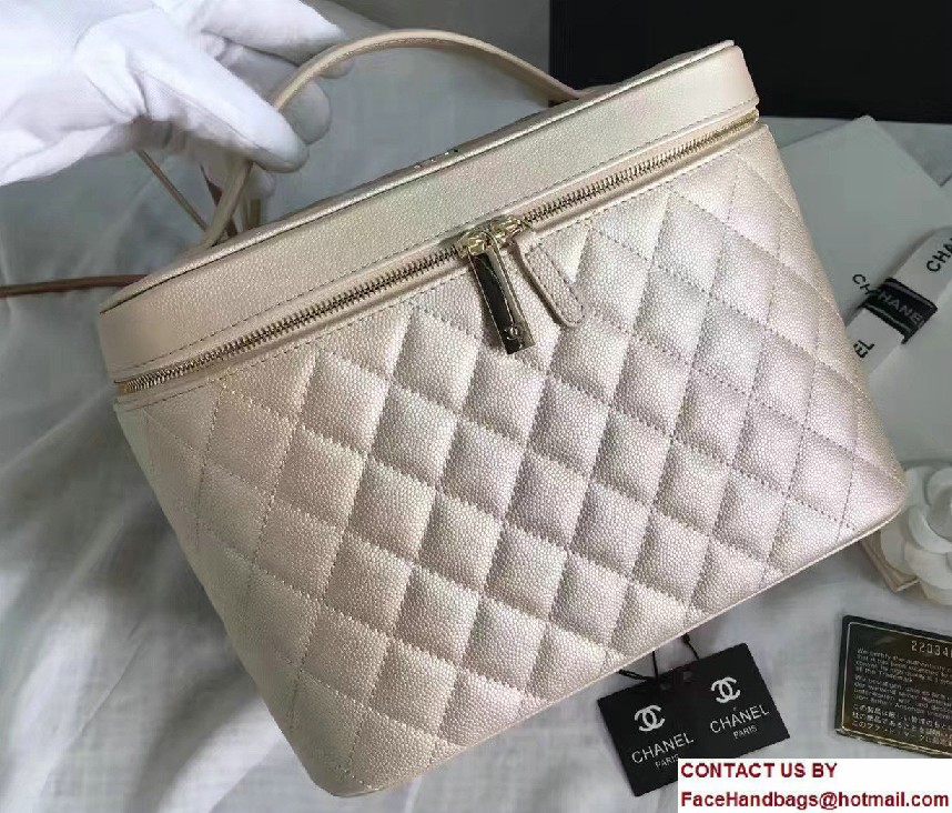 Chanel Grained Calfskin Vanity Case Pouch Large Bag A80913 Beige 2016 - Click Image to Close