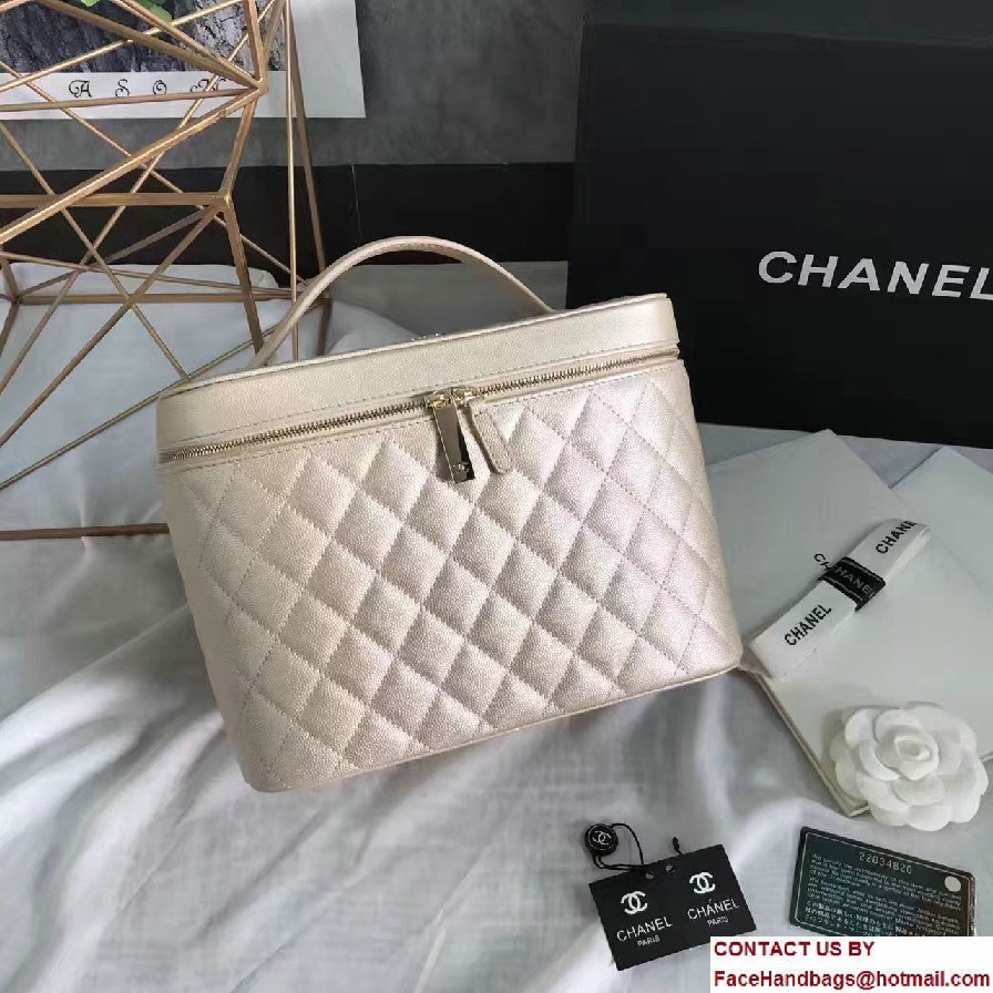 Chanel Grained Calfskin Vanity Case Pouch Large Bag A80913 Beige 2016