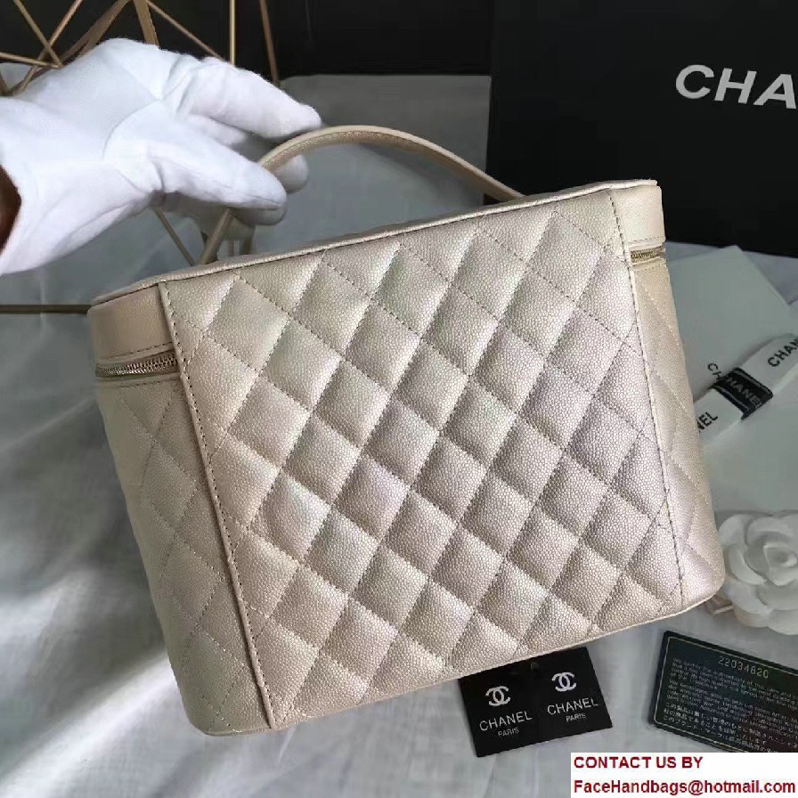 Chanel Grained Calfskin Vanity Case Pouch Large Bag A80913 Beige 2016