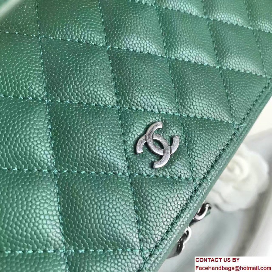 Chanel Grained Calfskin Vanity Case Pouch Large Bag A80913 Green 2016