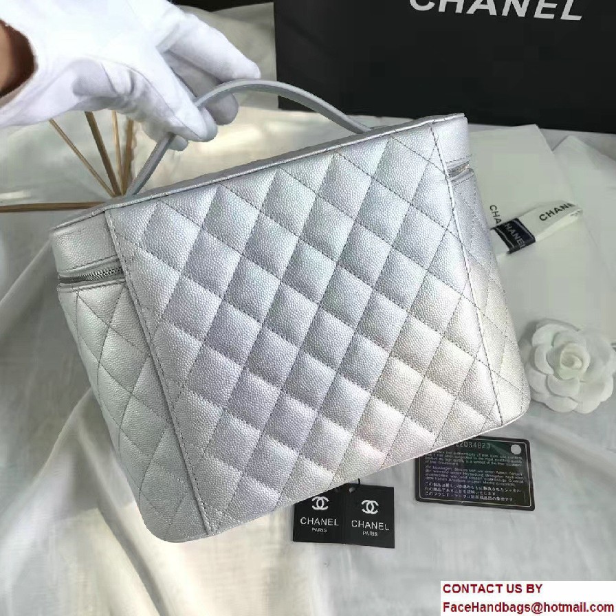 Chanel Grained Calfskin Vanity Case Pouch Large Bag A80913 Silver 2016