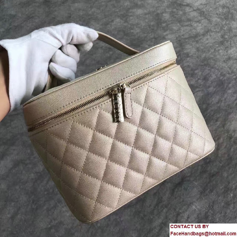 Chanel Grained Calfskin Vanity Case Pouch Small Bag A80913 Beige 2016