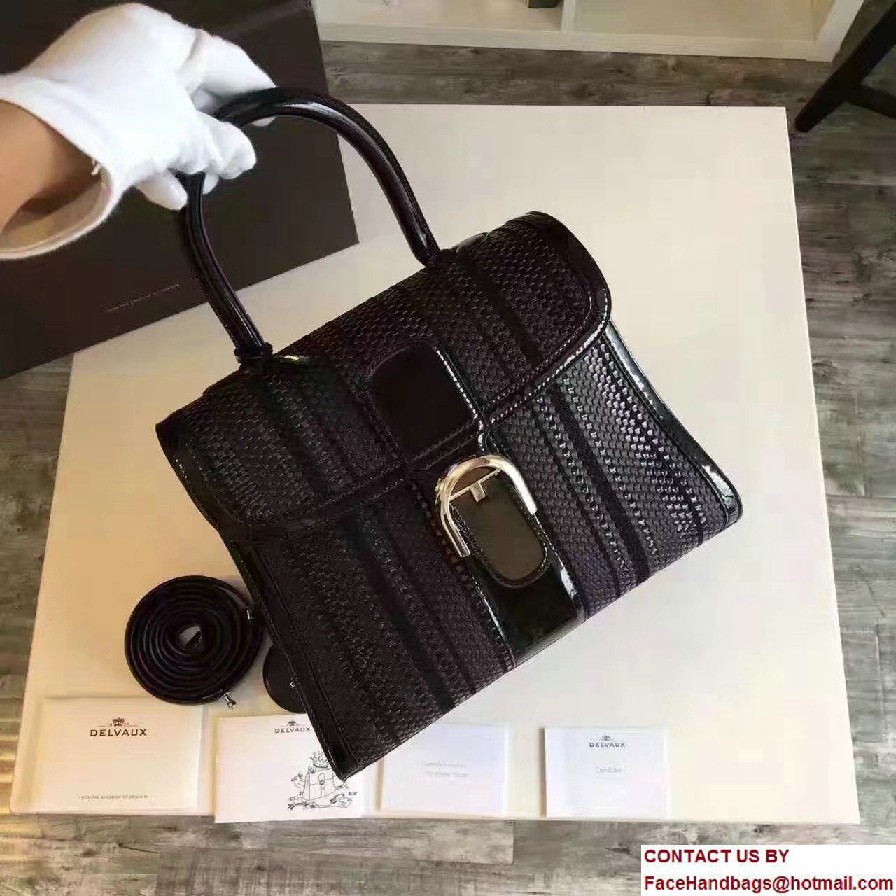 Delvaux Weave Brillant MM Bag Black 2016