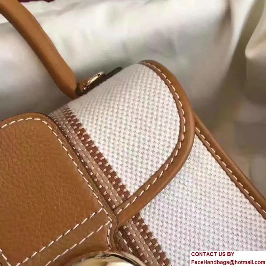 Delvaux Weave Brillant Mini Bag Brown 2016