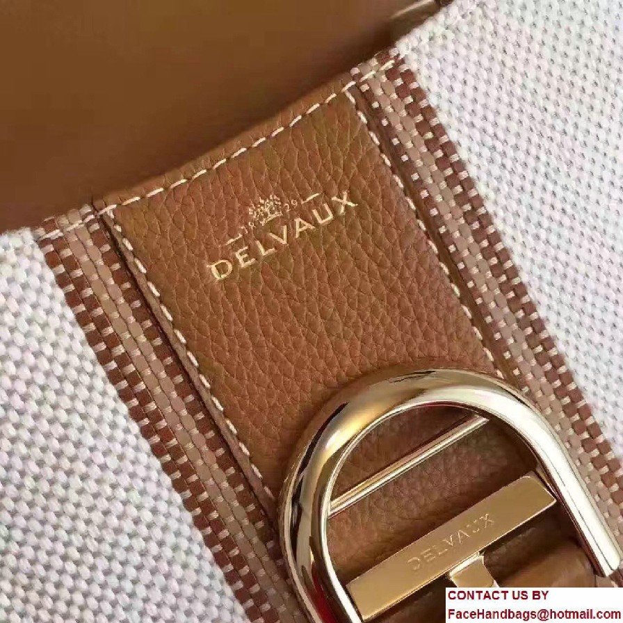 Delvaux Weave Brillant Mini Bag Brown 2016