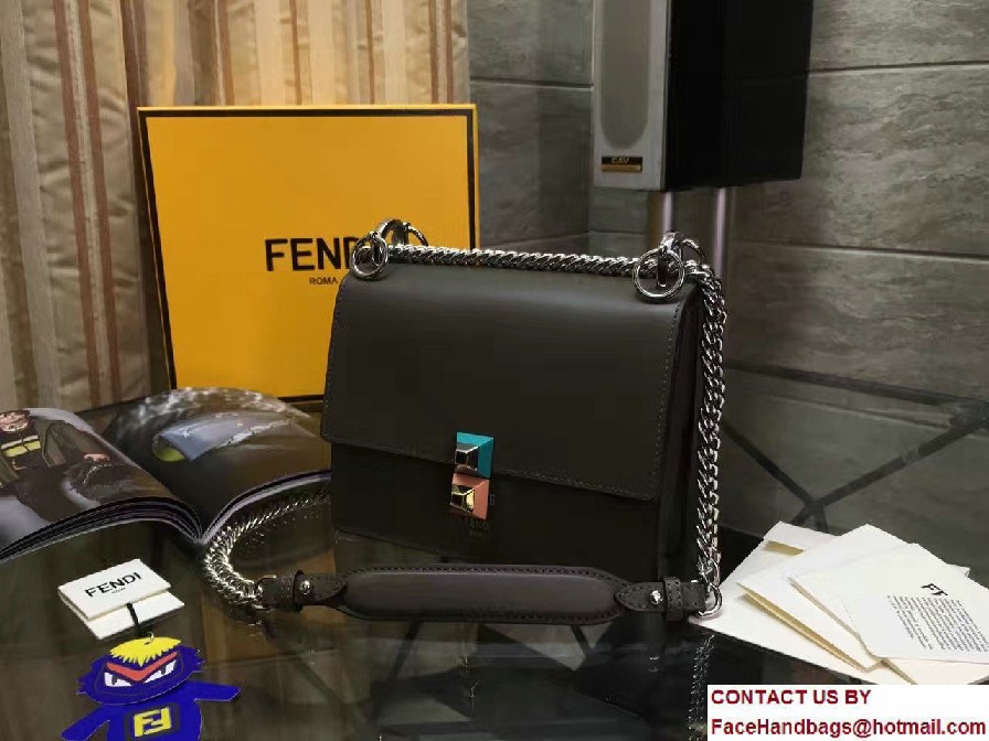 Fendi Kan I Crossbody Mini Bag Iron Gray 2017