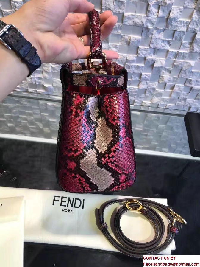 Fendi Python Mini Peekaboo Bag 05 2017