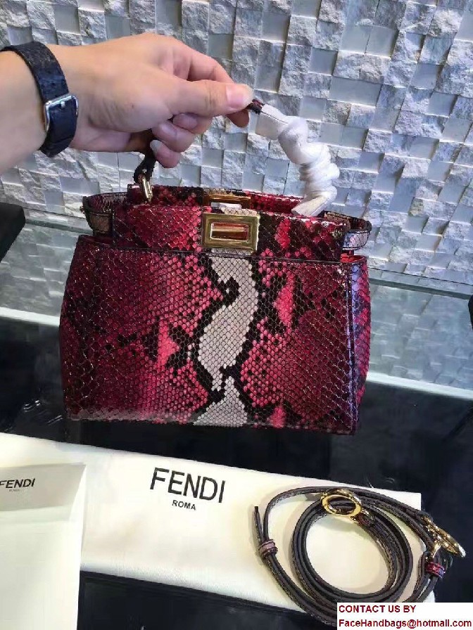 Fendi Python Mini Peekaboo Bag 05 2017