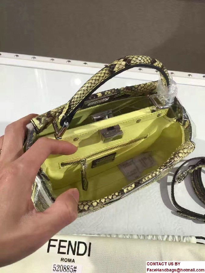 Fendi Python Mini Peekaboo Bag 07 2017