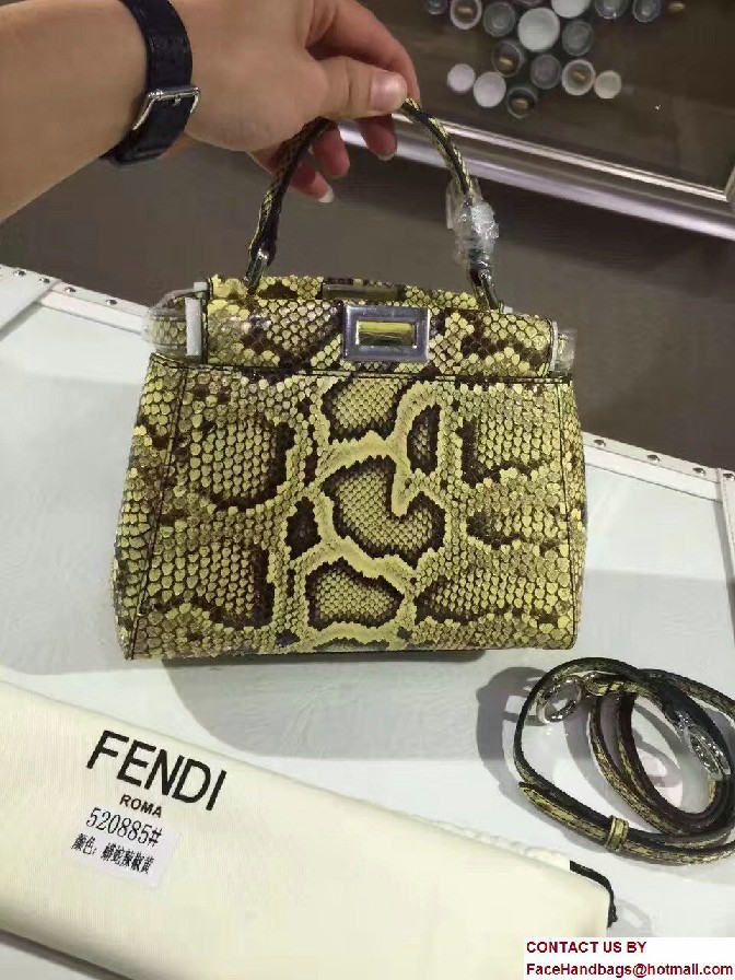 Fendi Python Mini Peekaboo Bag 07 2017