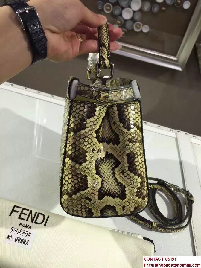 Fendi Python Mini Peekaboo Bag 07 2017