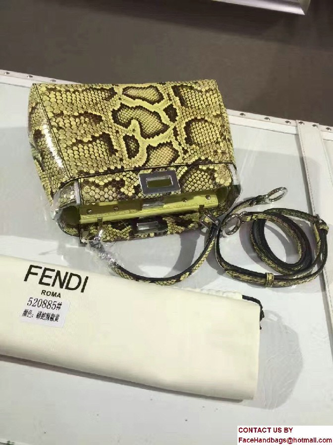 Fendi Python Mini Peekaboo Bag 07 2017