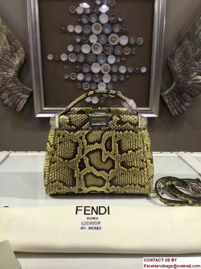 Fendi Python Mini Peekaboo Bag 07 2017