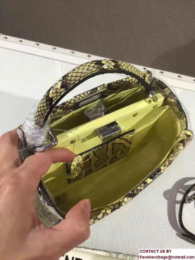 Fendi Python Mini Peekaboo Bag 07 2017