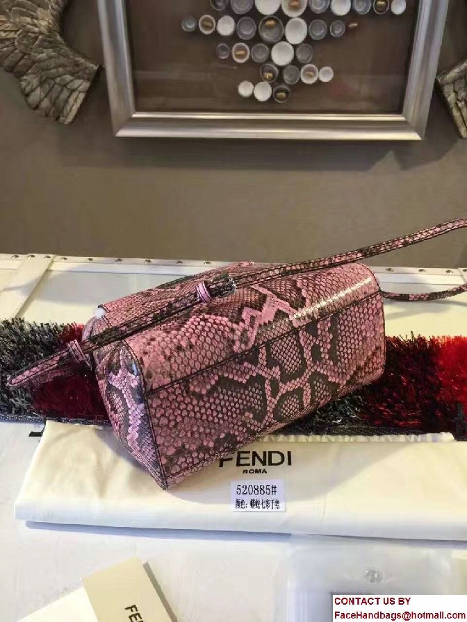 Fendi Python Mini Peekaboo Bag 08 2017