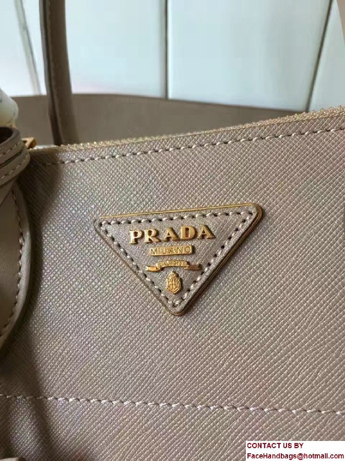 Prada Paradigme Saffiano And Calf Leather Bag 1BA103 Cameo/Begonia With Embellishments On The Shoulder Strap 2017