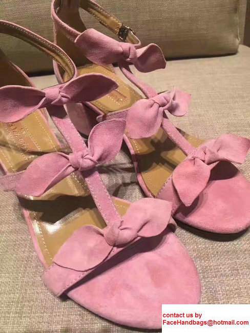 Aquazzura St. Tropez Suede Heel 5.5cm Sandals Pink 2017