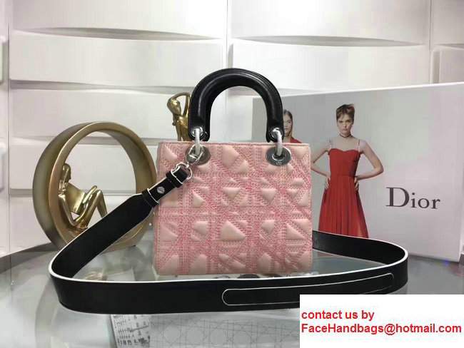 Lady Dior Art Medium Bag Pink/Black 2017