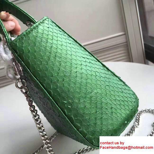 Lady Dior Python Small/Mini Bag with Double Chain Strap Green 2017