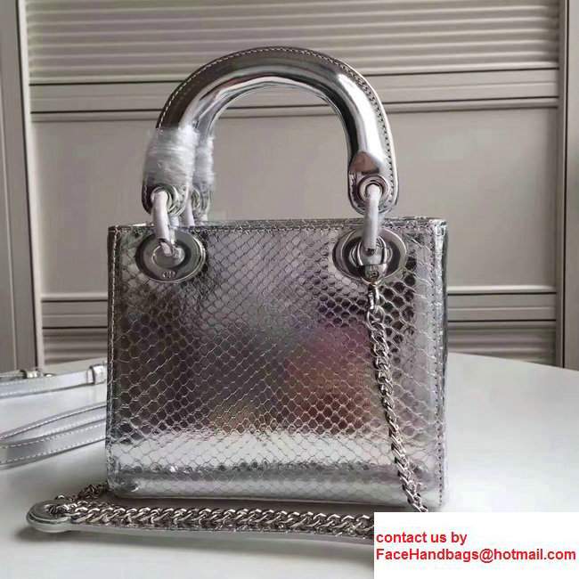 Lady Dior Python Small/Mini Bag with Double Chain Strap Silver 2017