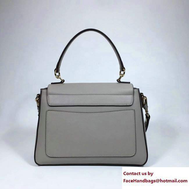 Chloe Smooth And Suede Calfskin Small Faye Day Double Carry Bag Gray 2017