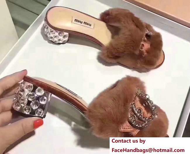 Miu Miu Heel 5cm Satin Lapin Crystals Slippers Sandals Coffee 2017