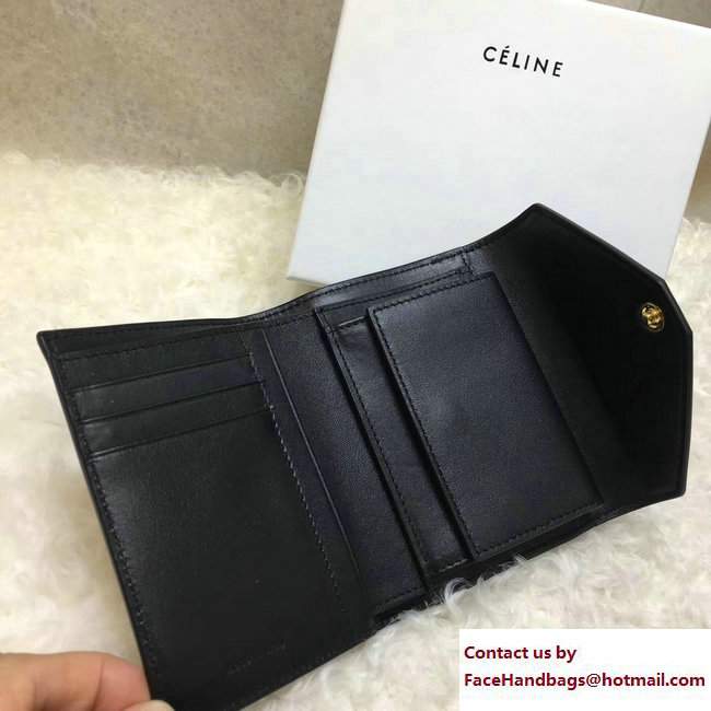 Celine Pocket Trifolded Multifunction Small Wallet 103783 03