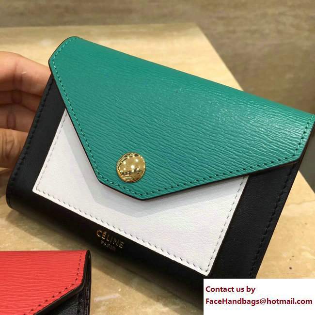 Celine Pocket Trifolded Multifunction Small Wallet 103783 13