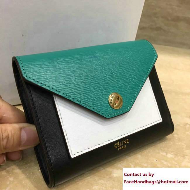 Celine Pocket Trifolded Multifunction Small Wallet 103783 13